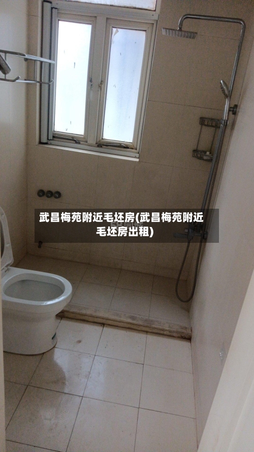 武昌梅苑附近毛坯房(武昌梅苑附近毛坯房出租)-第2张图片
