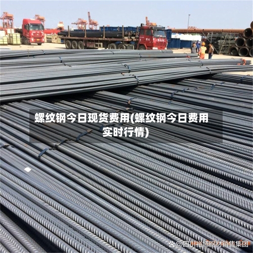 螺纹钢今日现货费用(螺纹钢今日费用 实时行情)-第2张图片