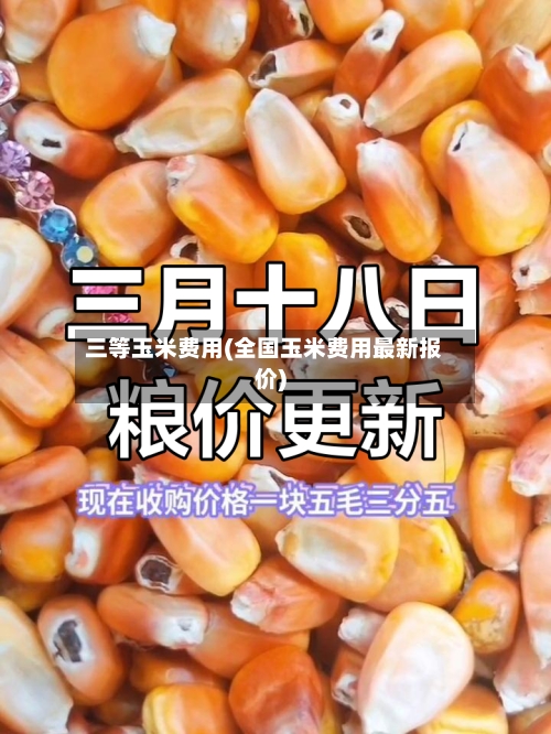 三等玉米费用(全国玉米费用最新报价)-第2张图片