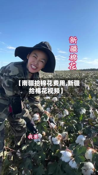 【南疆拾棉花费用,新疆拾棉花视频】