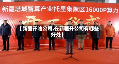 【新疆开啥公司,在新疆开公司有哪些好处】-第3张图片