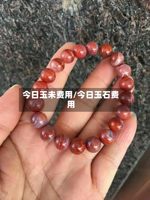 今日玉未费用/今日玉石费用-第2张图片