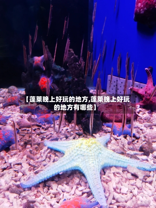 【蓬莱晚上好玩的地方,蓬莱晚上好玩的地方有哪些】-第2张图片