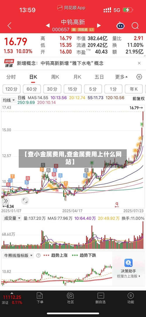 【查小金属费用,查金属费用上什么网站】
