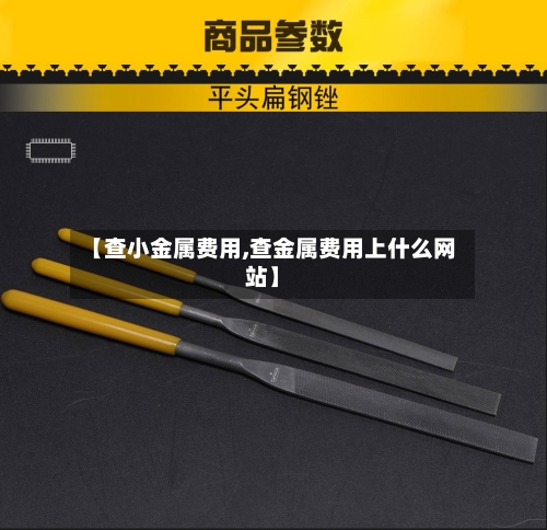 【查小金属费用,查金属费用上什么网站】-第2张图片