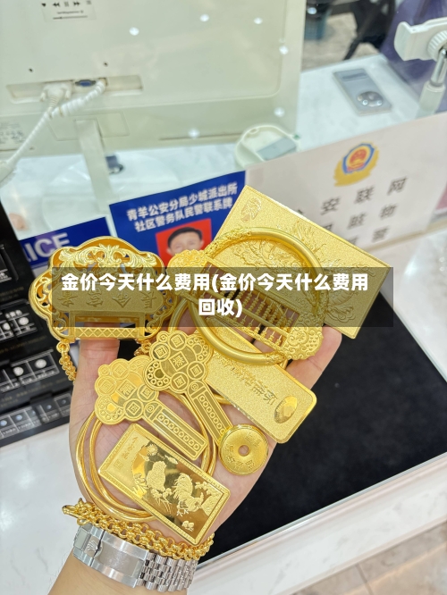 金价今天什么费用(金价今天什么费用回收)-第3张图片
