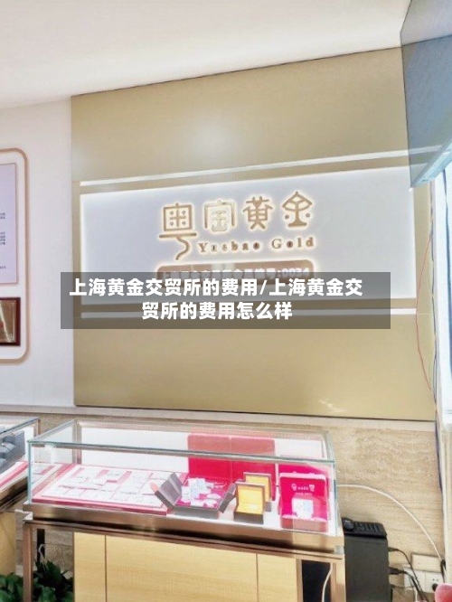 上海黄金交贸所的费用/上海黄金交贸所的费用怎么样