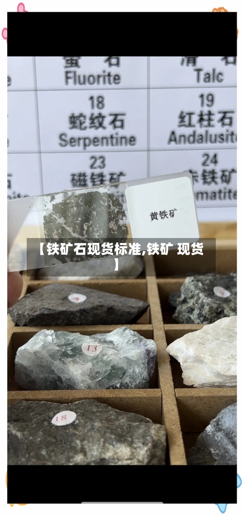 【铁矿石现货标准,铁矿 现货】