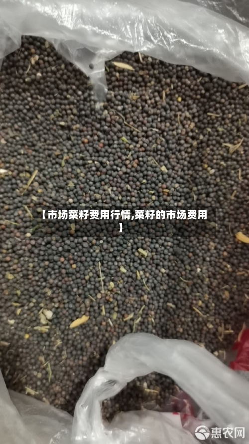 【市场菜籽费用行情,菜籽的市场费用】