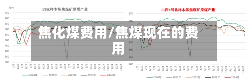 焦化煤费用/焦煤现在的费用-第1张图片