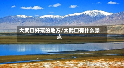 大武口好玩的地方/大武口有什么景点