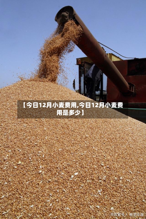 【今日12月小麦费用,今日12月小麦费用是多少】