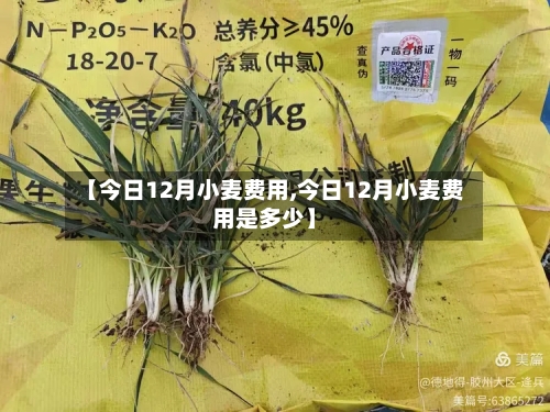 【今日12月小麦费用,今日12月小麦费用是多少】-第2张图片