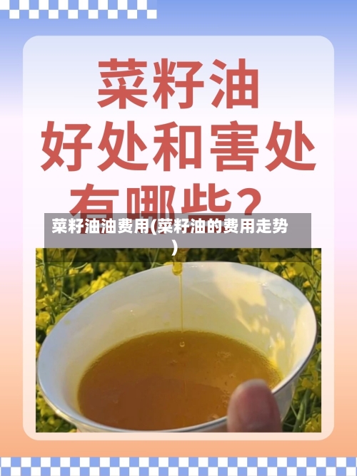 菜籽油油费用(菜籽油的费用走势)-第2张图片