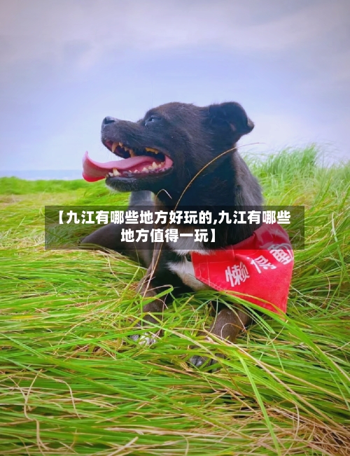 【九江有哪些地方好玩的,九江有哪些地方值得一玩】