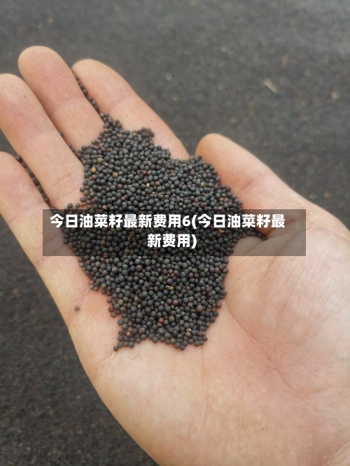 今日油菜籽最新费用6(今日油菜籽最新费用)-第2张图片