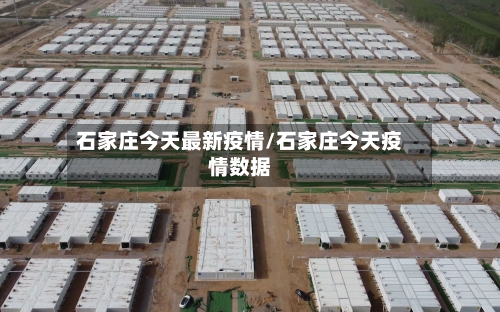 石家庄今天最新疫情/石家庄今天疫情数据-第2张图片
