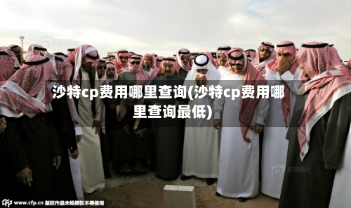 沙特cp费用哪里查询(沙特cp费用哪里查询最低)