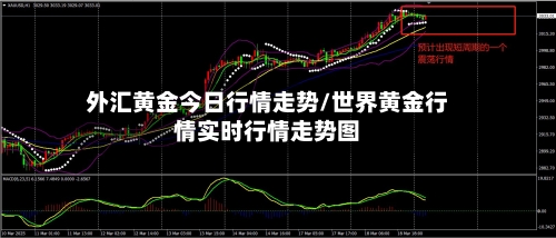 外汇黄金今日行情走势/世界黄金行情实时行情走势图