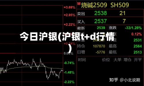 今日沪银(沪银t+d行情)