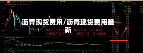 沥青现货费用/沥青现货费用最新-第2张图片
