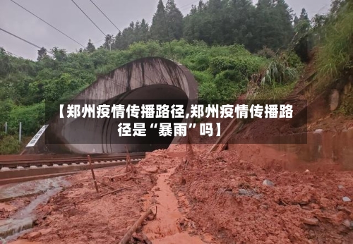 【郑州疫情传播路径,郑州疫情传播路径是“暴雨”吗】-第3张图片