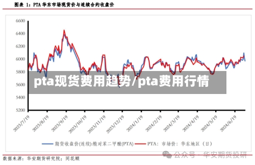 pta现货费用趋势/pta费用行情