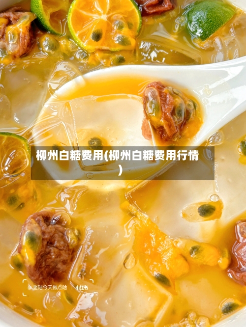 柳州白糖费用(柳州白糖费用行情)