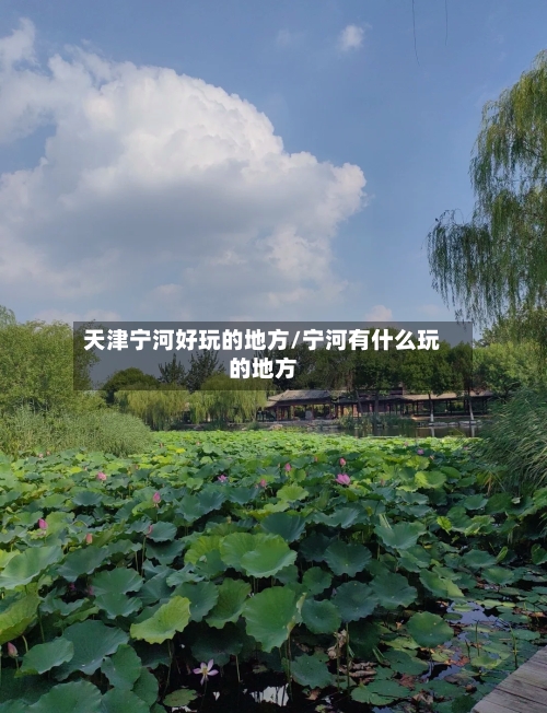 天津宁河好玩的地方/宁河有什么玩的地方