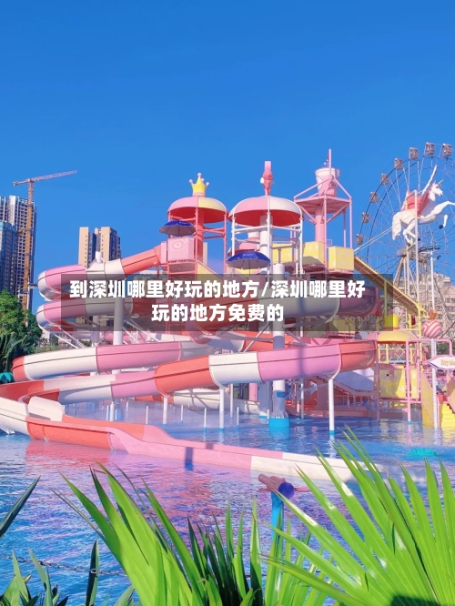 到深圳哪里好玩的地方/深圳哪里好玩的地方免费的