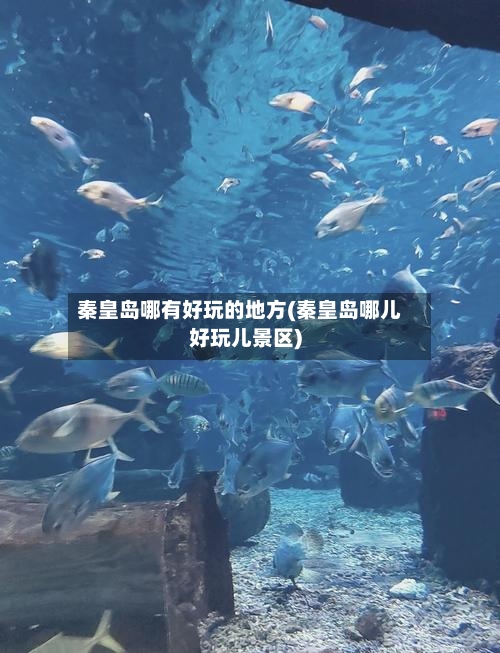 秦皇岛哪有好玩的地方(秦皇岛哪儿好玩儿景区)-第3张图片