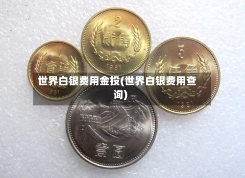 世界白银费用金投(世界白银费用查询)