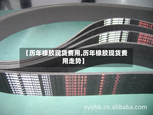 【历年橡胶现货费用,历年橡胶现货费用走势】-第2张图片