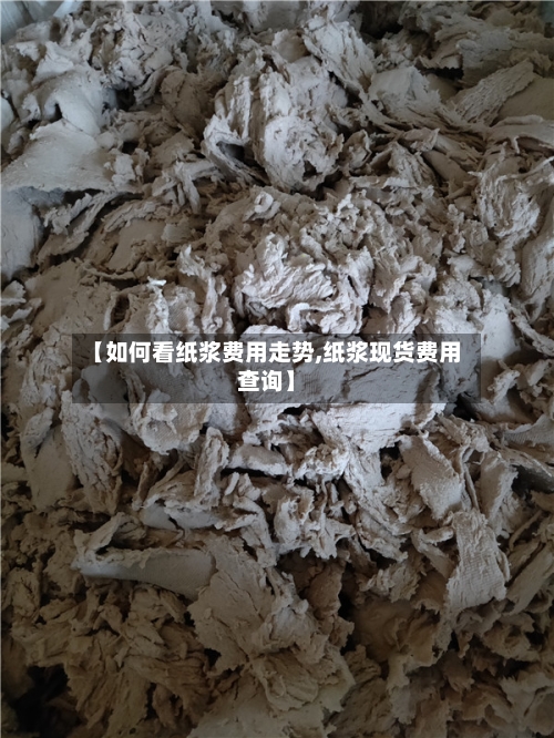 【如何看纸浆费用走势,纸浆现货费用查询】-第2张图片