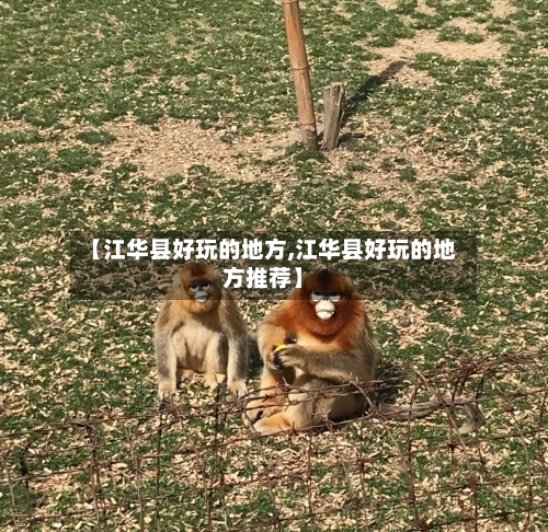 【江华县好玩的地方,江华县好玩的地方推荐】-第2张图片