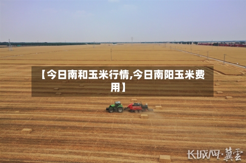 【今日南和玉米行情,今日南阳玉米费用】-第3张图片