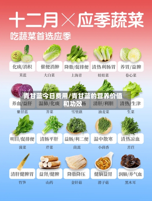青甘蓝今日费用/青甘蓝的营养价值和功效-第3张图片
