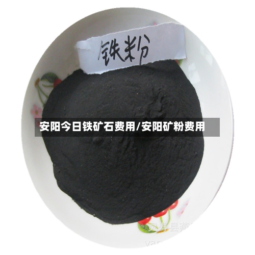 安阳今日铁矿石费用/安阳矿粉费用-第3张图片