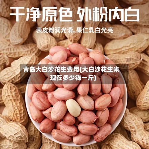 青岛大白沙花生费用(大白沙花生米现在多少钱一斤)