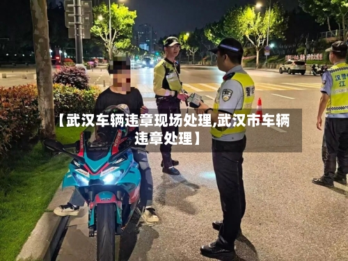 【武汉车辆违章现场处理,武汉市车辆违章处理】