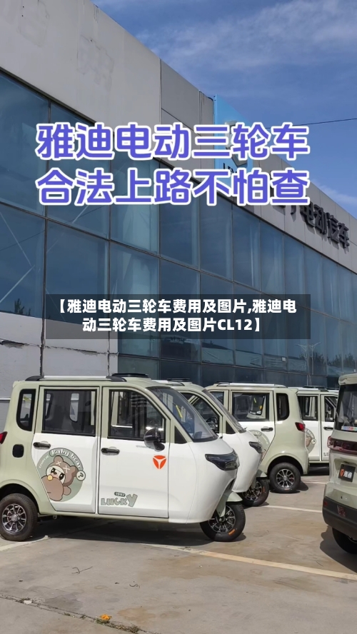 【雅迪电动三轮车费用及图片,雅迪电动三轮车费用及图片CL12】-第2张图片