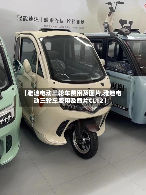 【雅迪电动三轮车费用及图片,雅迪电动三轮车费用及图片CL12】-第3张图片