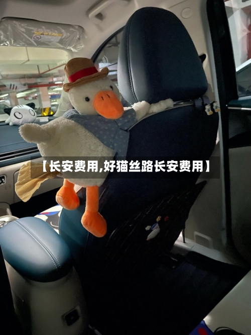 【长安费用,好猫丝路长安费用】
