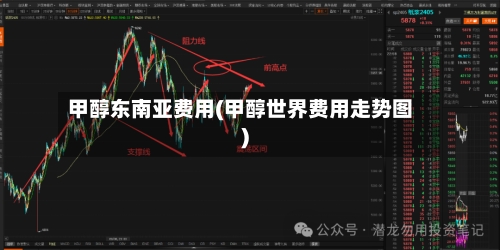 甲醇东南亚费用(甲醇世界费用走势图)-第2张图片