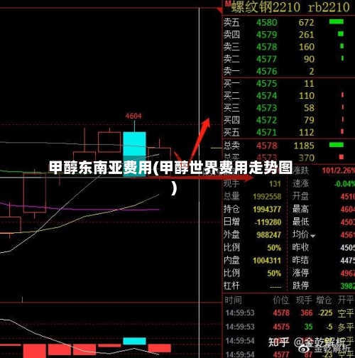 甲醇东南亚费用(甲醇世界费用走势图)-第3张图片