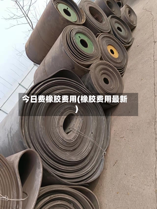 今日费橡胶费用(橡胶费用最新)
