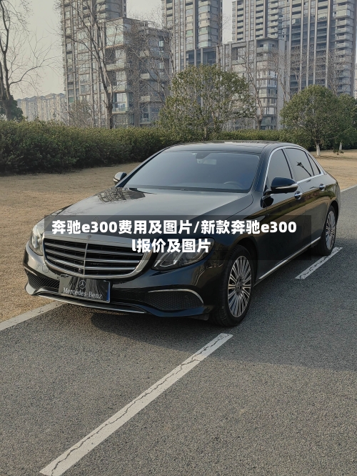 奔驰e300费用及图片/新款奔驰e300l报价及图片