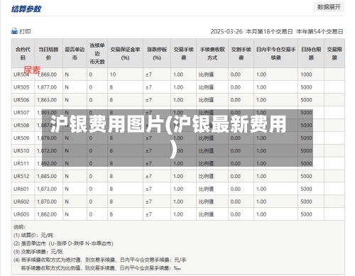 沪银费用图片(沪银最新费用)-第2张图片