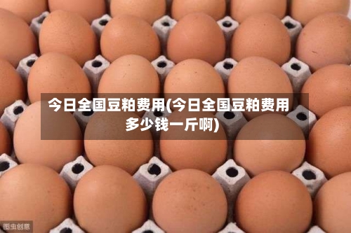 今日全国豆粕费用(今日全国豆粕费用多少钱一斤啊)-第3张图片