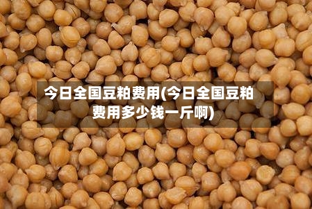 今日全国豆粕费用(今日全国豆粕费用多少钱一斤啊)-第2张图片